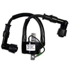 Ignition Coil | CDI-184-3081