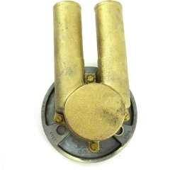 Large Image